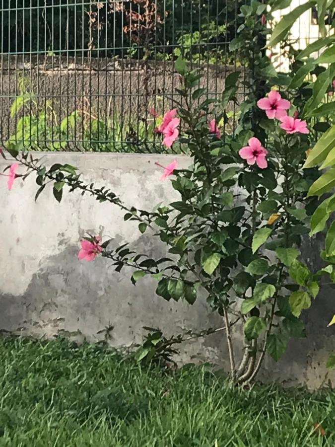 Flamboyant Lägenhet Vieux-Habitants Exteriör bild
